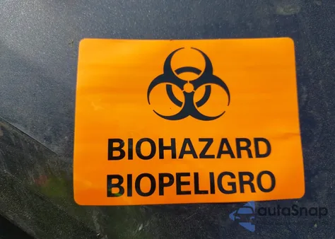 2019 Dodge Charger Sxt Awd from USA, damaged, VIN 2C3CDXJG8KH565931